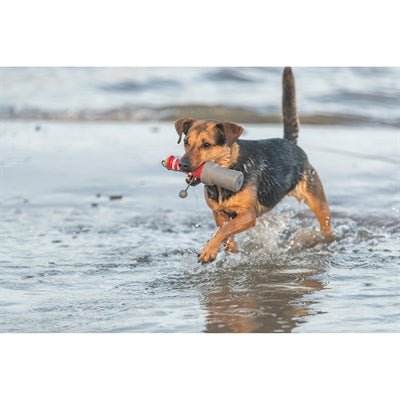 Trixie Aqua Toy Leuchtturm am Seil, TPR, schwimmendes Hundespielzeug - LUIS & LEON