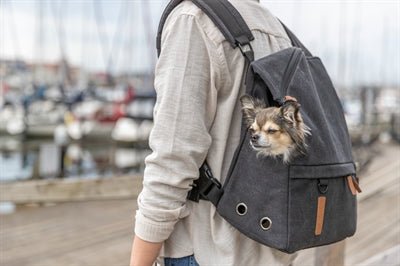 Trixie Be Nordic Rucksack Bjorn - Fronttasche & Rucksack für Hunde - LUIS & LEON