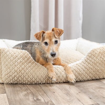 Trixie Hundebett Kaline Mio Beige/Creme - LUIS & LEON