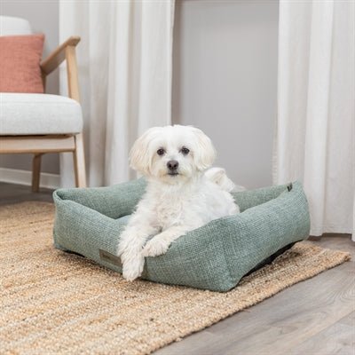 Trixie Hundebett Viviana Salbei – wohnliches Hundebett mit Samt - Haptik - LUIS & LEON