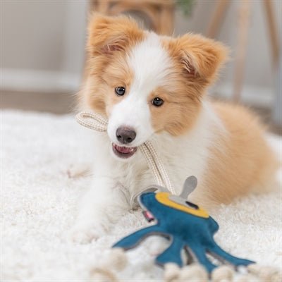 Trixie Monster am Tau – Hundespielzeug aus Leder und Baumwolle - LUIS & LEON
