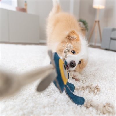 Trixie Monster am Tau – Hundespielzeug aus Leder und Baumwolle - LUIS & LEON