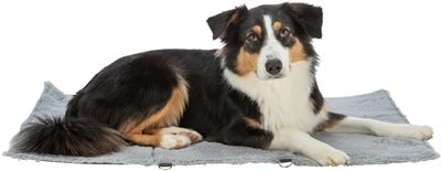 Trixie Reisedecke Amy – die praktische Hundedecke für unterwegs - LUIS & LEON