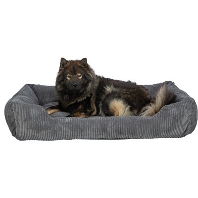 Trixie Vital Bett Jonna Dunkelgrau – Orthopädisches Hundebett - LUIS & LEON