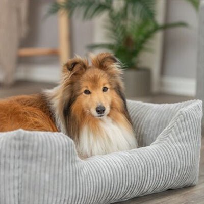 Trixie Vital Bett Jonna Hellgrau – Orthopädisches Hundebett - LUIS & LEON