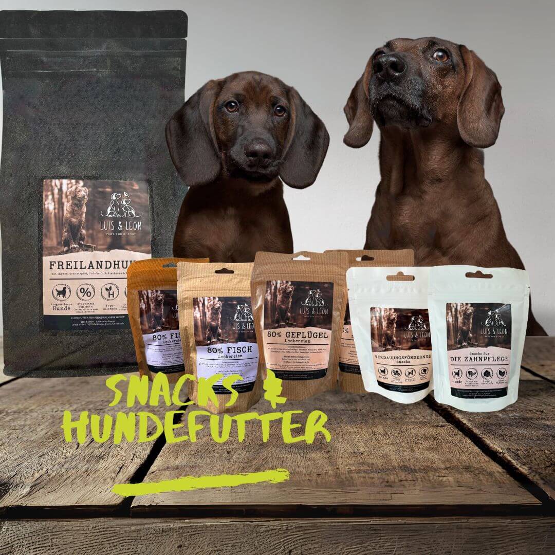 LUIS & LEON Hundefutter & Snacks - Herstellung