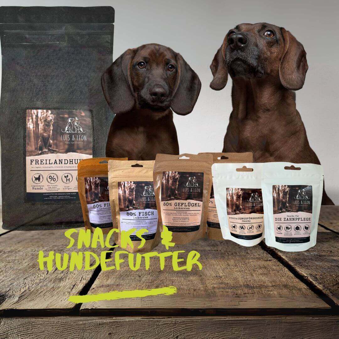 LUIS & LEON Hundefutter & Snacks - Herstellung - LUIS & LEON