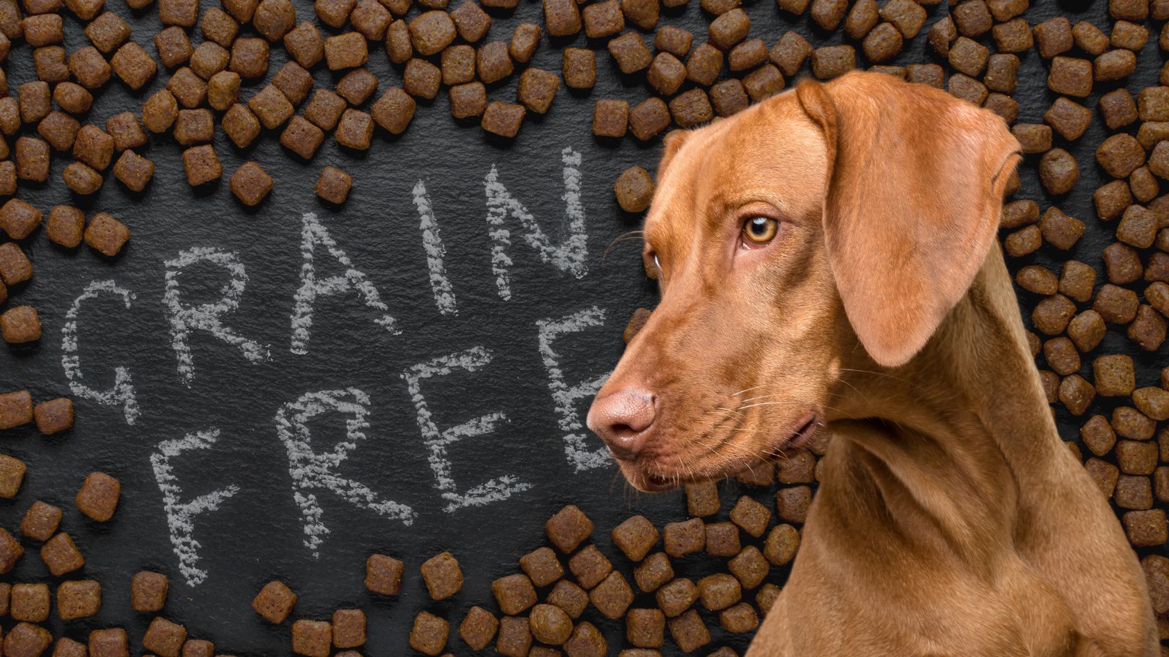 Getreidefreies Hundefutter – Trend oder wirklich besser? - LUIS & LEON