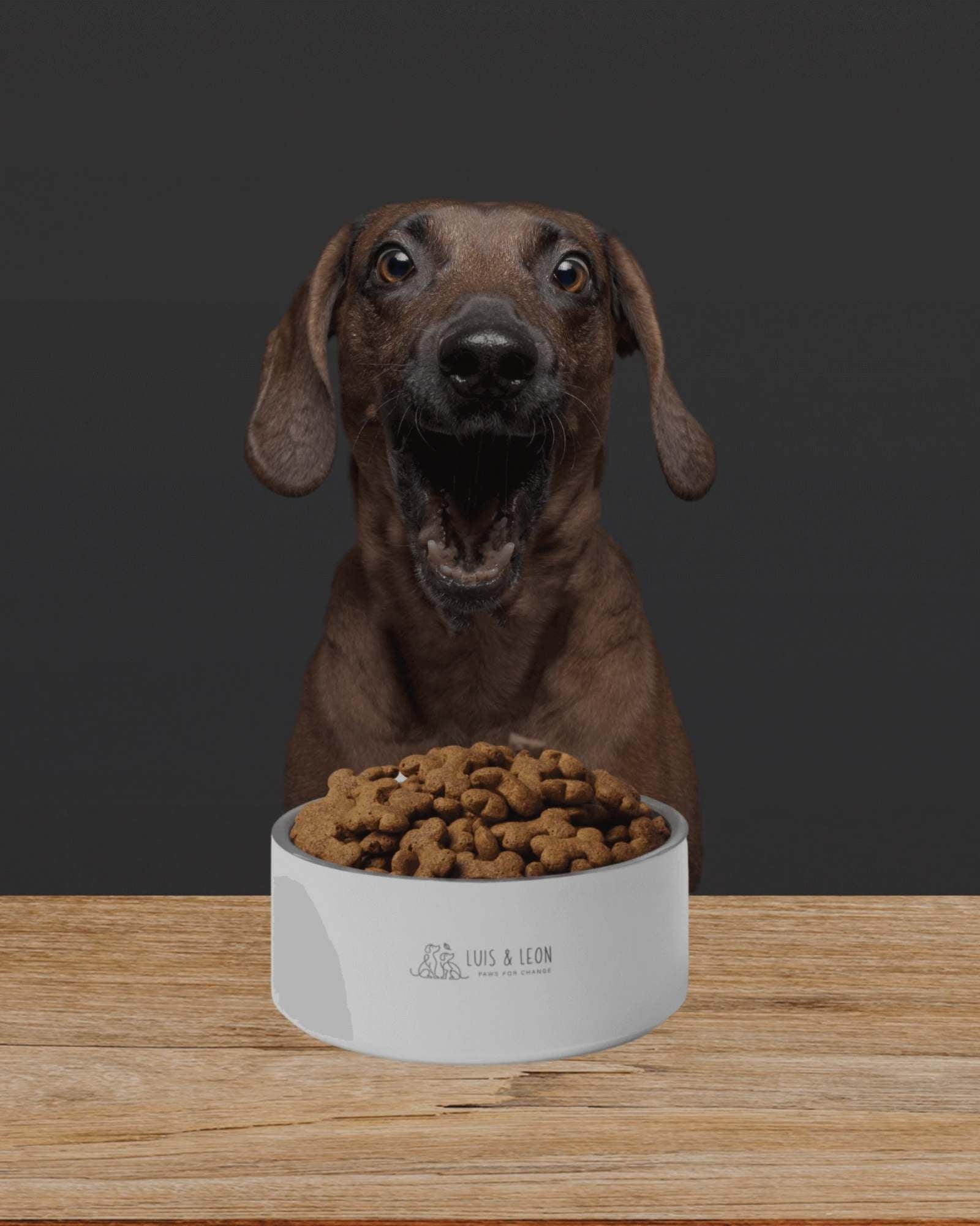 Hundenäpfe - LUIS & LEON