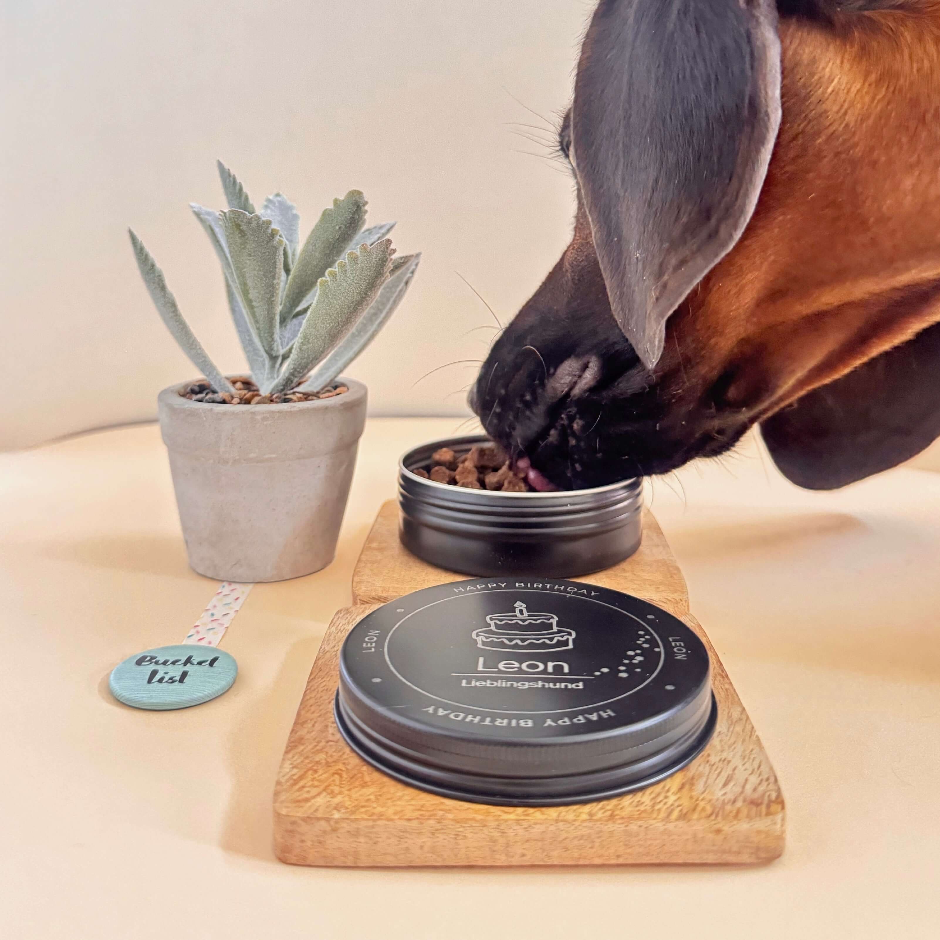 Leckerlidose mit Gravur – stilvoll, praktisch und persönlich - LUIS & LEON