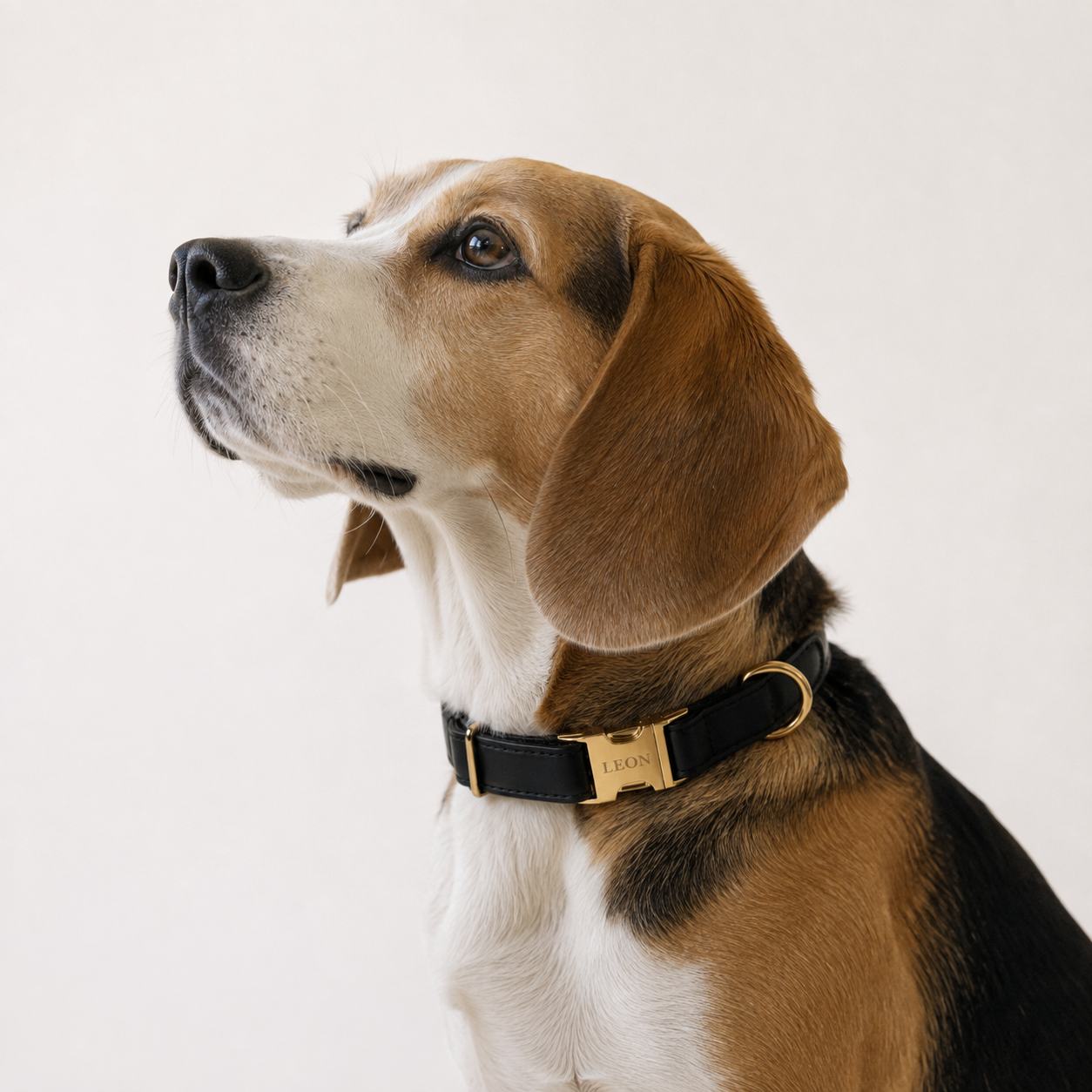 Personalisiertes Hundehalsband Kunstleder – Gold