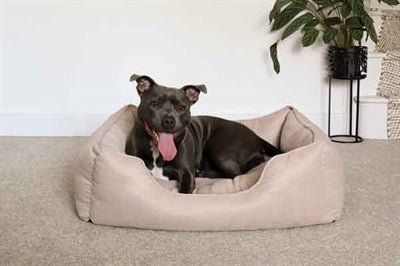 40 Winks Rosewood Thin Twill Hundebett – Stilvolles & gemütliches Hundebett in Beige - LUIS & LEON