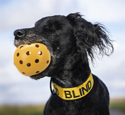 Trixie Aus Naturkautschuk Mit Glocke Für Blinde Oder Behinderte Hunde