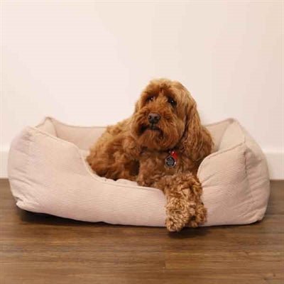 40Winks Rosewood Hundebett – Kuscheliges Kord - Hundebett in Beige - LUIS & LEON