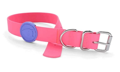 Morso Hundehalsband Wasserdicht Recycelt Passion Rosa