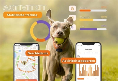 Weenect Tracker Hund Schwarz