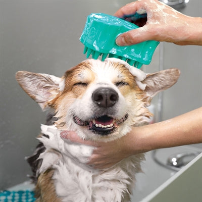 Kong Zoomgroom Blasen