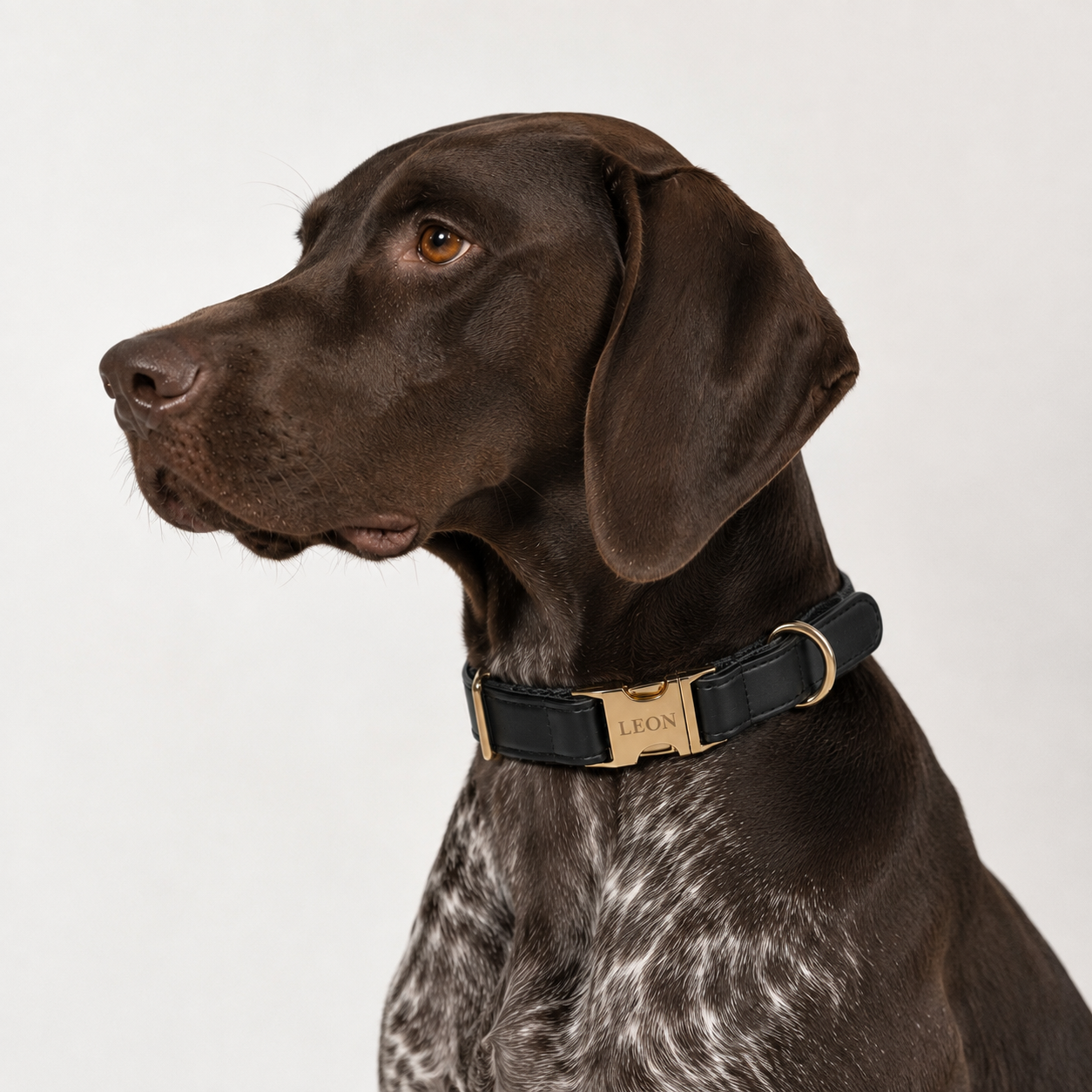 Personalisiertes Hundehalsband Kunstleder – Gold