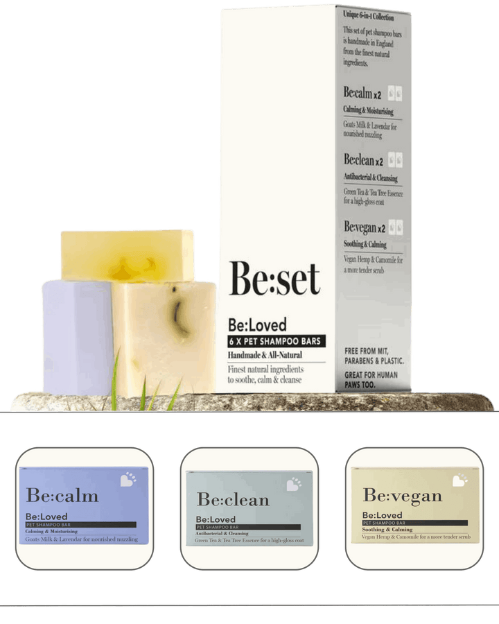 Be:Loved - Be:Set Pet Shampoo Stack - 6 Shampoo Bars