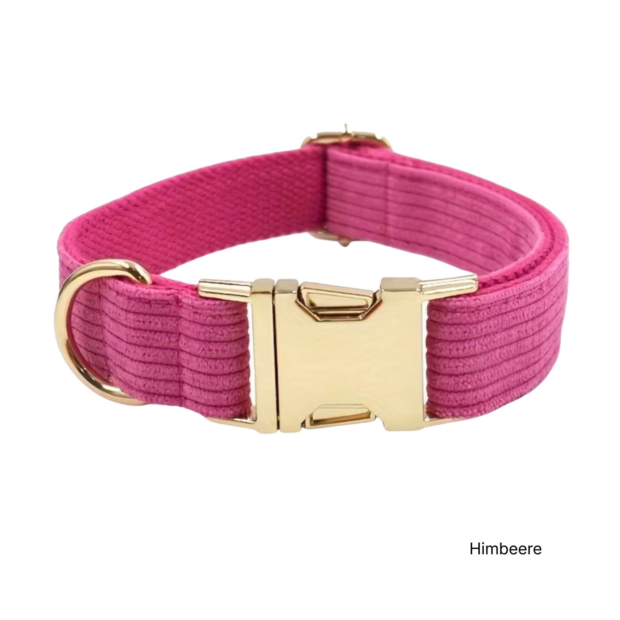 LUIS & LEON Personalisiertes Hundehalsband mit Name – Kordsamt & Gold