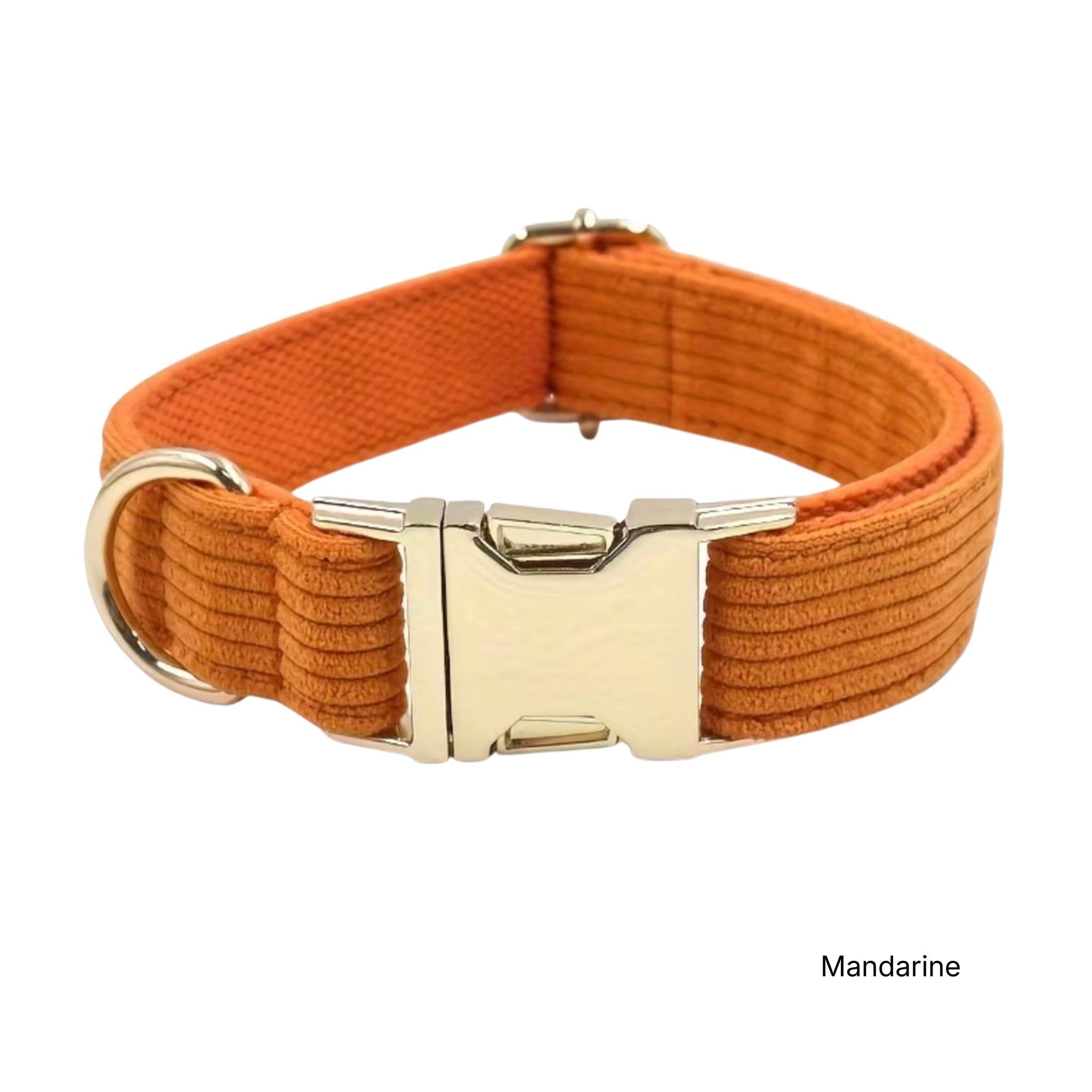 LUIS & LEON Personalisiertes Hundehalsband mit Name – Kordsamt & Gold