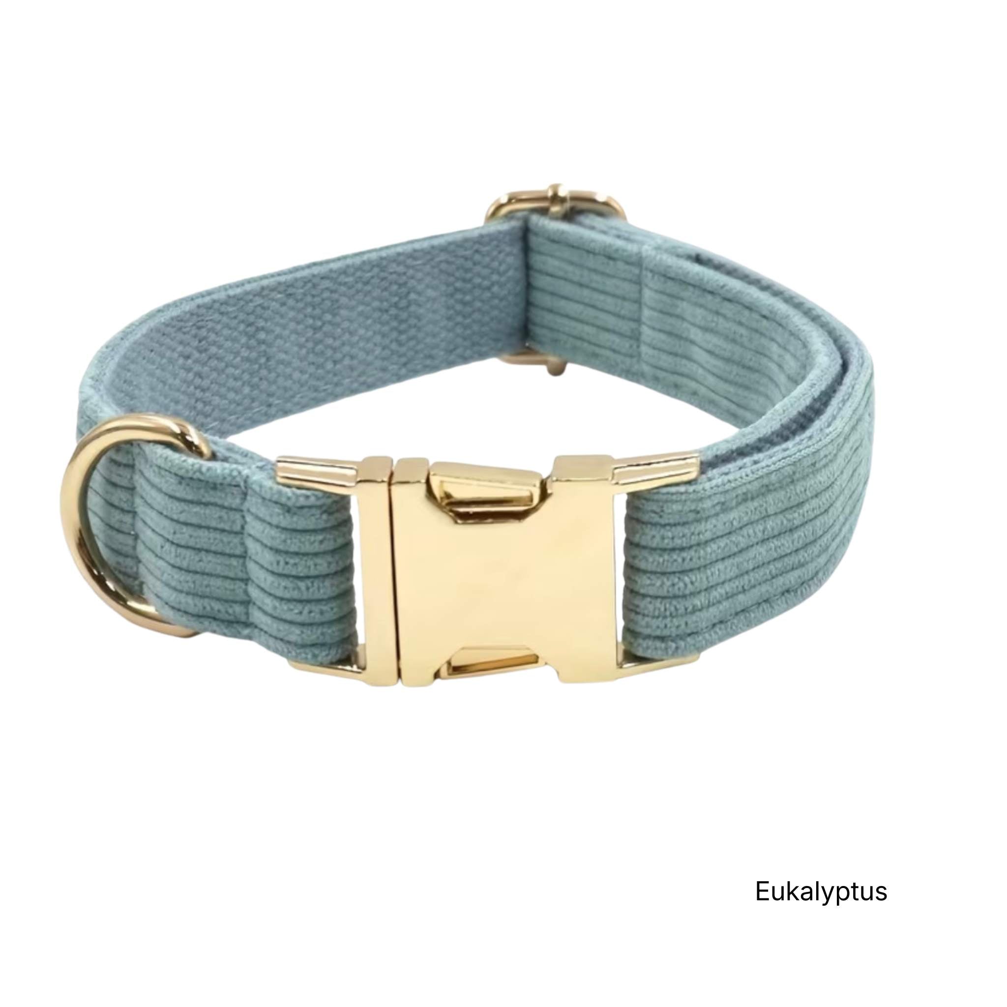 LUIS & LEON Personalisiertes Hundehalsband mit Name – Kordsamt & Gold