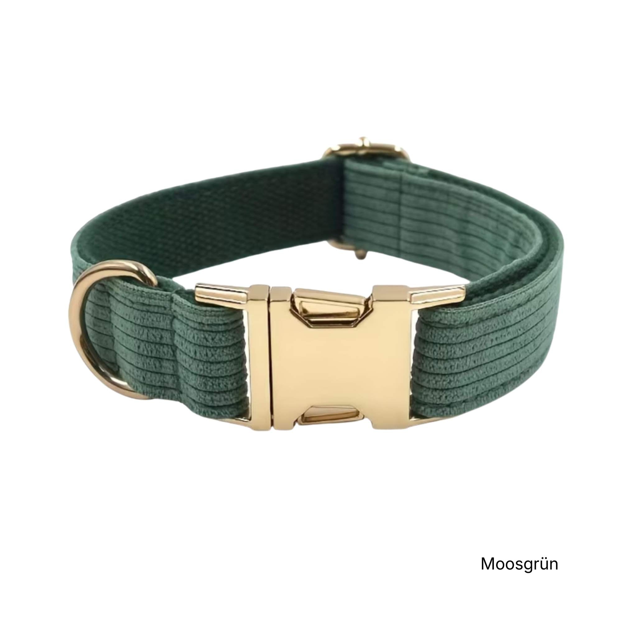 LUIS & LEON Personalisiertes Hundehalsband mit Name – Kordsamt & Gold