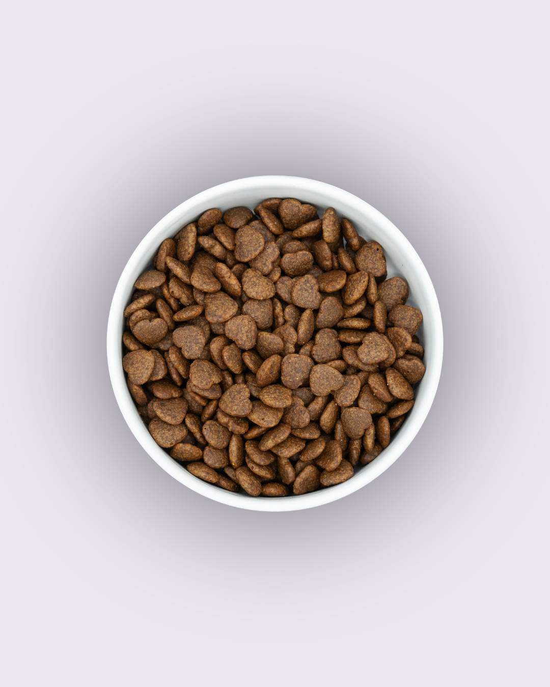 LUIS & LEON Gastrointestinal – Trockenfutter für erwachsene Hunde mit empfindlichem Magen