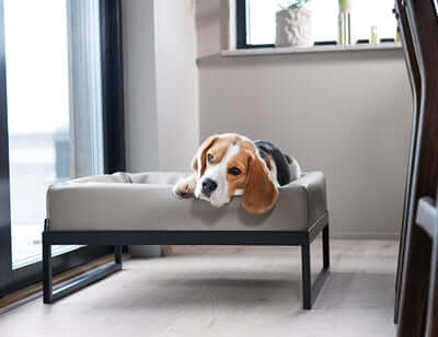 Bia Air Bettgestell – ergonomisch, stilvoll und praktisch für dein Bia Hundebett - LUIS & LEON