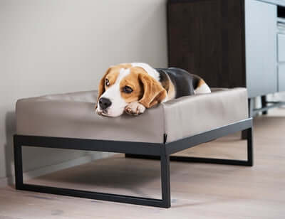 Bia Air Bettgestell – ergonomisch, stilvoll und praktisch für dein Bia Hundebett - LUIS & LEON