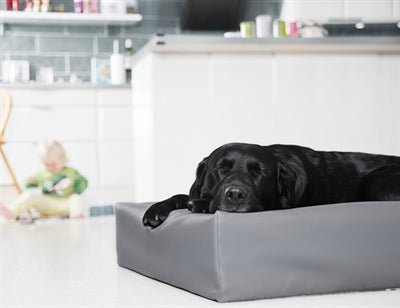 Bia Bed Cover aus Kunstleder für Hundebett - Bia Bed Bezug Grau - LUIS & LEON