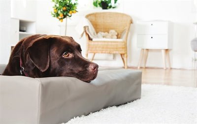 Bia Bed Cover aus Kunstleder für Hundebett - Bia Bed Bezug Taupe - LUIS & LEON