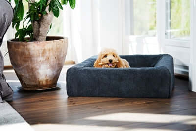 Bia Bed Cover Pilé für Hundebett - Bia Bed Bezug Grau - LUIS & LEON