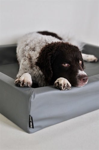 Bia Bed Original Hundebett Grau – zeitloser Schlafplatz für Hunde - LUIS & LEON
