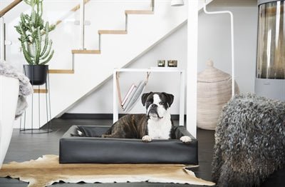 Bia Bed Original Hundebett Schwarz – zeitloser Schlafplatz für Hunde - LUIS & LEON