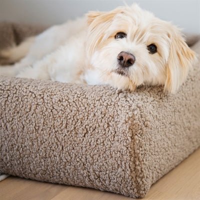 Bia Premium Teddy Cover Beige – weicher Teddy - Bezug für Bia Hundebett - LUIS & LEON
