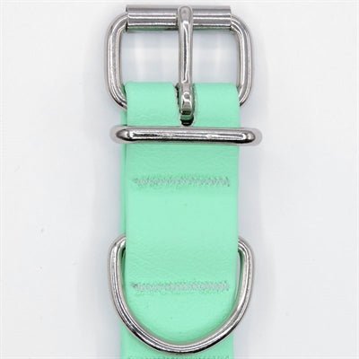 Biothane Hundehalsband von Morso – Recycelt, Wasserdicht & grün - LUIS & LEON