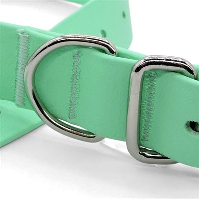 Biothane Hundehalsband von Morso – Recycelt, Wasserdicht & grün - LUIS & LEON