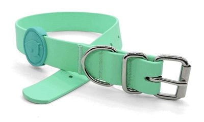 Biothane Hundehalsband von Morso – Recycelt, Wasserdicht & grün - LUIS & LEON