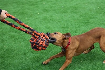 Happy Pet Nut For Knots Tugger - Baumwoll - Ball mit Seil - LUIS & LEON