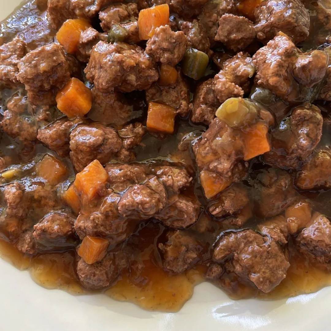 PLANTZ Beef pflanzenbasiertes Hundefutter – veganes Nassfutter mit fleischähnlicher Textur