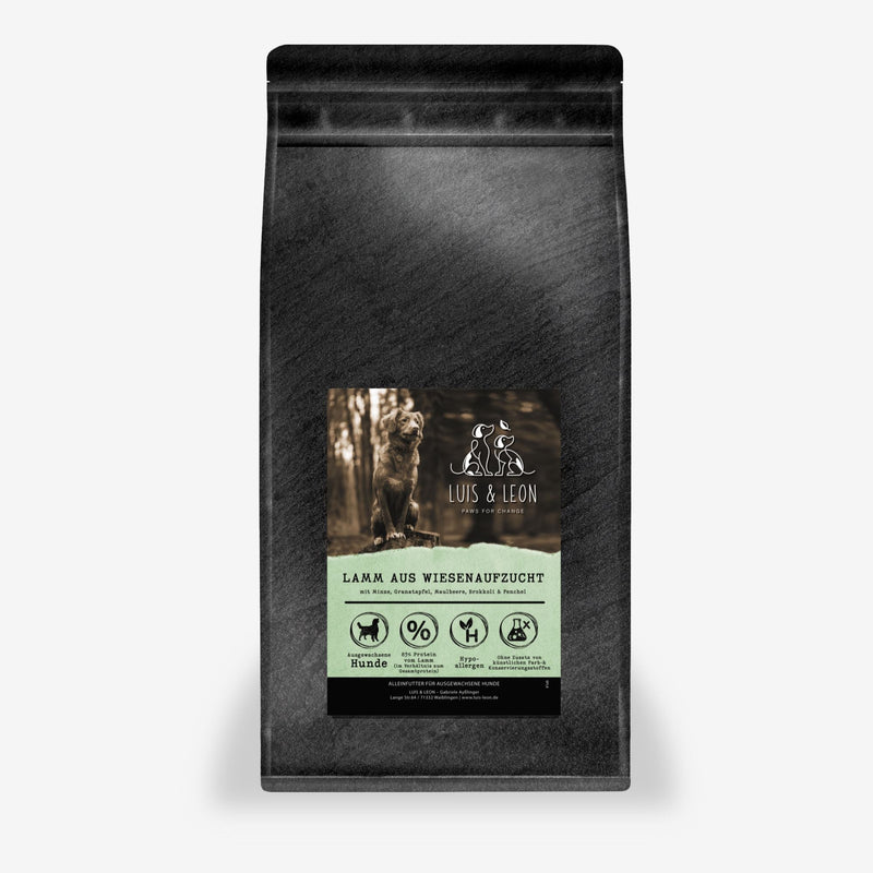 Hundefutter Lamm – Superfood-Trockenfutter