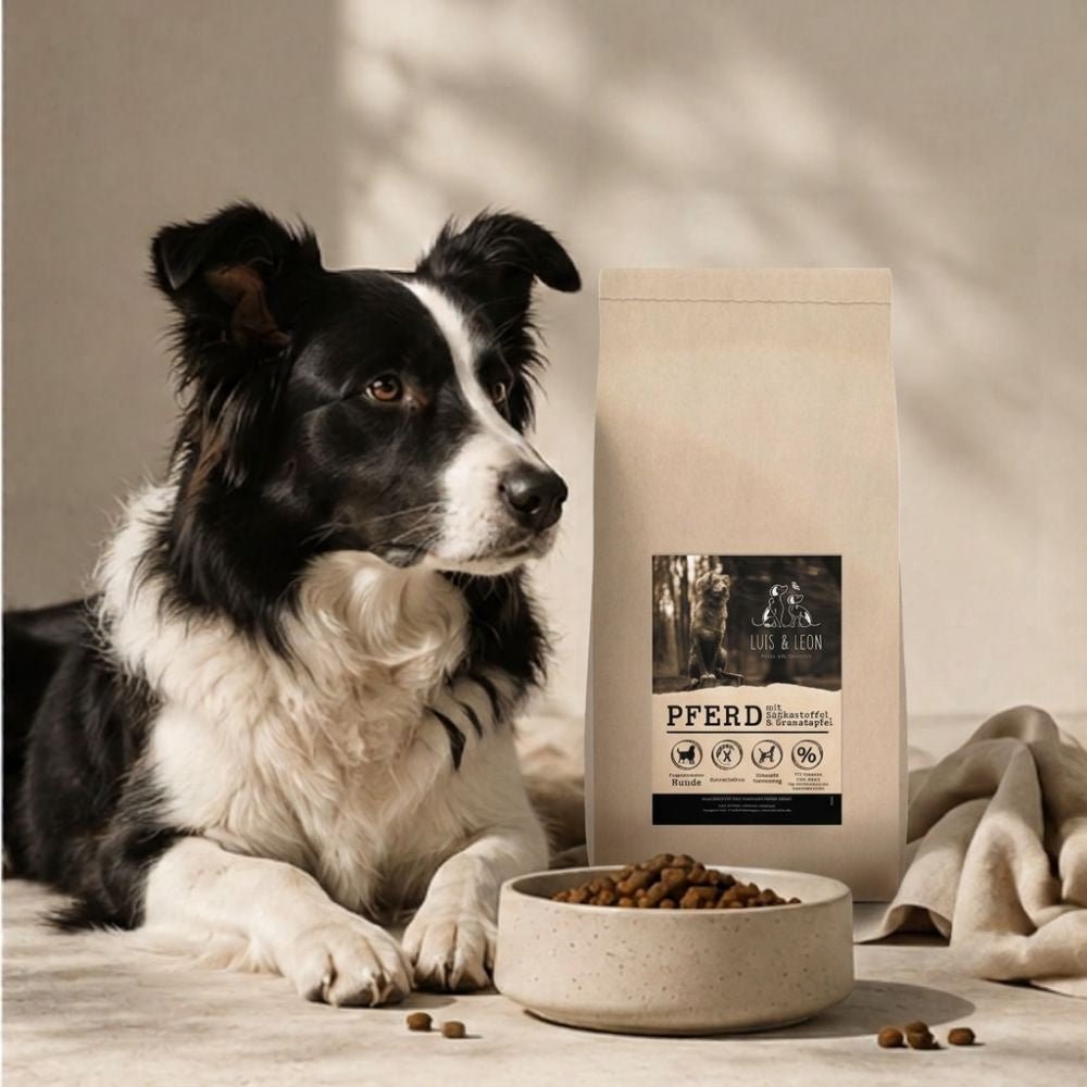 Hundefutter Pferd – Trockenfutter Klassik - LUIS & LEON