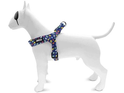 Hundegeschirr für kleine Hunde - Morso COLOR INVADERS - verstellbar, Mini - LUIS & LEON