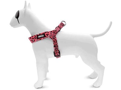 Hundegeschirr Mini verstellbar - Morso BUBBLE LEO Adjustable Mini - LUIS & LEON