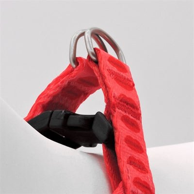 Hundegeschirr Mini verstellbar - Morso LIPSTICK Adjustable Mini - LUIS & LEON