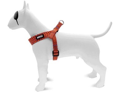 Hundegeschirr Mini verstellbar - Morso URBAN LIZARD - LUIS & LEON