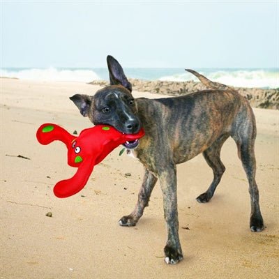 KONG Belly Flop Hummer – Schwimmfähiges Hundespielzeug mit Quietscher - LUIS & LEON