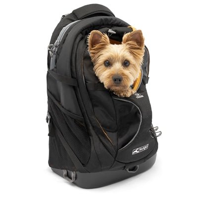 Kurgo G - Train Rucksack - Wasserfester Rucksack für Hunde - LUIS & LEON