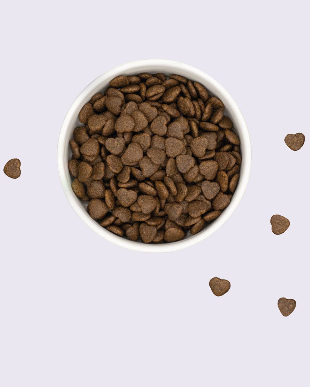 LUIS & LEON Gastrointestinal – Trockenfutter für erwachsene Hunde mit empfindlichem Magen - LUIS & LEON